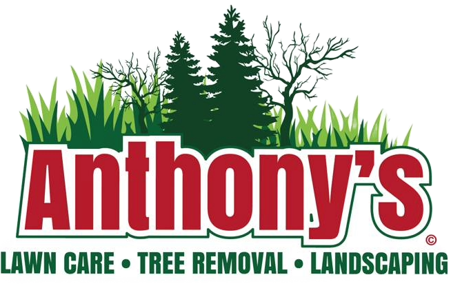 Anthony's Lawncare Logo
