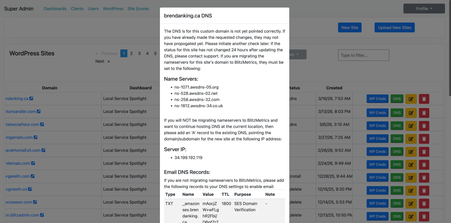 BlitzAdmin DNS configuration modal showing nameservers, server IP, and email DNS records for brendanking.ca