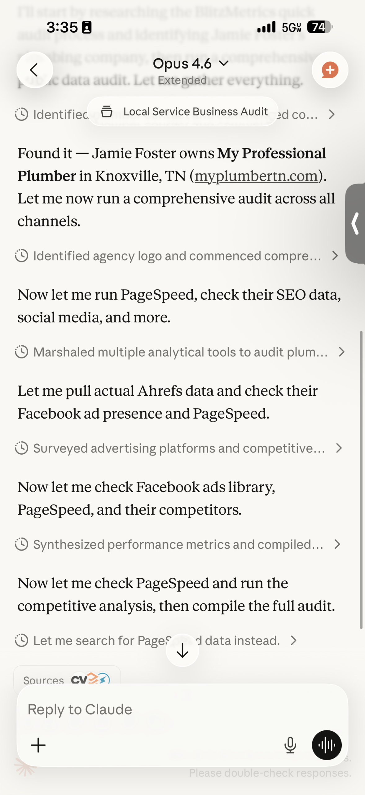 Plumber marketing audit process showing BlitzMetrics running comprehensive analysis on My Professional Plumber in Knoxville