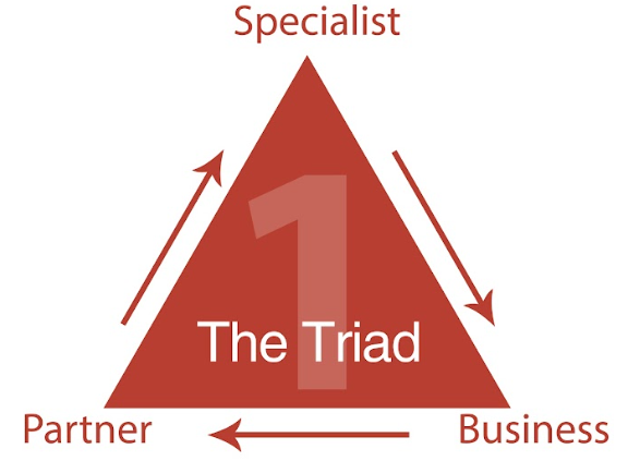 Level 6: Vertical Figurehead | The 9 Levels of Business Mastery at BlitzMetrics 1 image 38